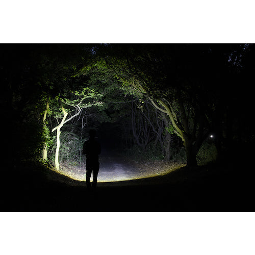 ＧＥＮＴＯＳ　充電式ＬＥＤハンディライト　レクシード２８５Ｒ