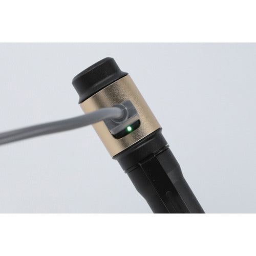 ＧＥＮＴＯＳ　充電式ＬＥＤハンディライト　レクシード３１４Ｒ