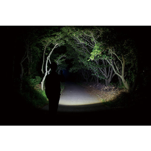 ＧＥＮＴＯＳ　充電式ＬＥＤハンディライト　レクシード４８６ＰＢ