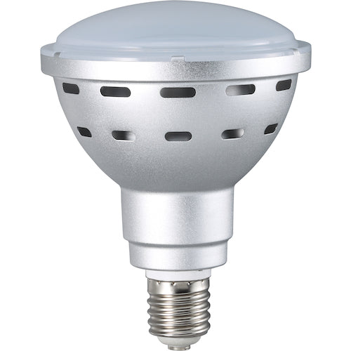 ハタヤ　４５Ｗ　ＬＥＤ作業灯　１００Ｖ