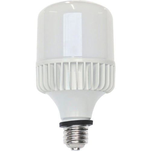 セフティー　キラリトライトＬＥＡＤ　工事用ＬＥＤ電球　口金Ｅ３９　１００／２００Ｖ兼用　屋外用　バラストレス水銀灯５００Ｗ相当
