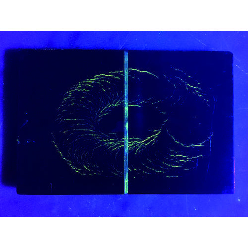 ｓａｇａ　８ＷＬＥＤ紫外線ライト