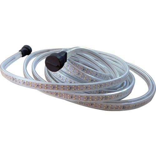 【入荷未定】ＳＨＯＷＡ　ＬＥＤテープライトＳ　１０ｍ