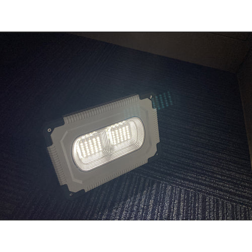 ＳＨＯＷＡ　どこでもラ・ラ・ライト