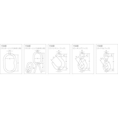 象印 チェーンスリング100（アイタイプ）大口フック（2本吊り）