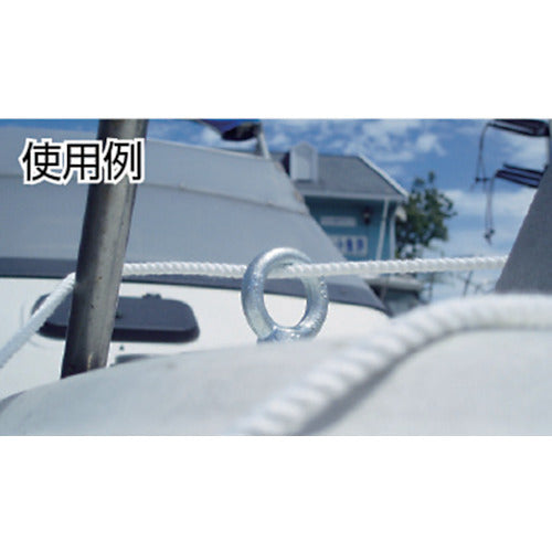 TRUSCO アイボルト（スチール製）