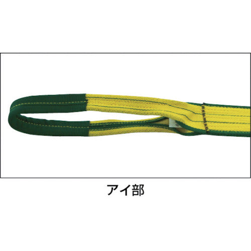 ロックスリング シグマ A-1 100mm（両端アイ形）