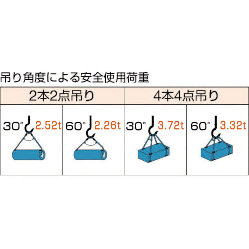 TRUSCO Wスリング（ソフトタイプ）ケーブルレイド 1.0m