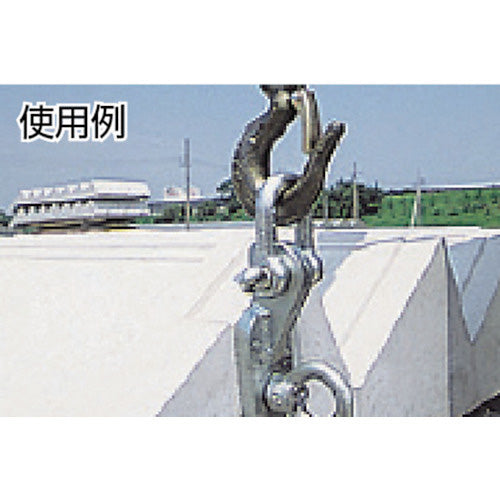 タケネ シメツケアップTSA