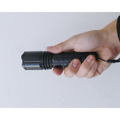 Ｈｙｄｒａｎｇｅａ　ブラックライト　エコノミー（ノーマル照射）タイプ　乾電池タイプ　ピーク波長４０５ｎｍ