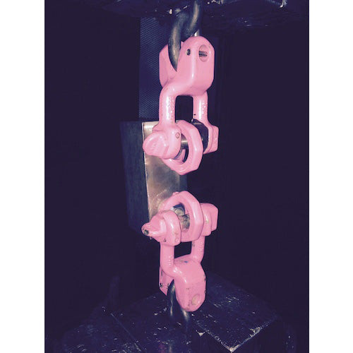 RUD アイナットスター VRM