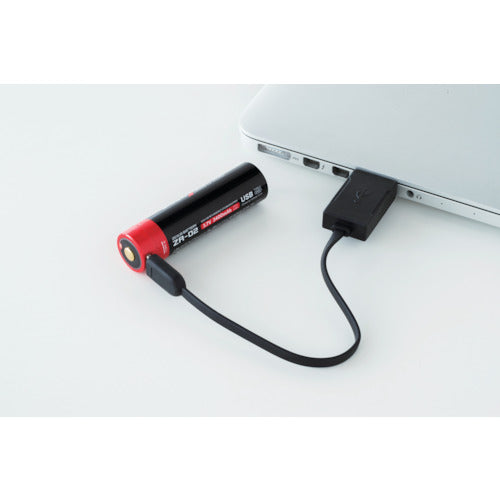 ＺＥＸＵＳ　ＬＥＤ　ヘッドライト　ＺＸ−Ｒ７３０