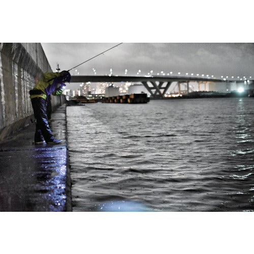 ＺＥＸＵＳ　ＬＥＤ　ヘッドライト　ＺＸ−Ｒ７３０