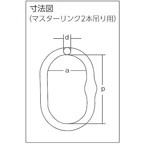 象印 チェーンスリング100（アイタイプ）ロッキングフックタイプ（2本吊り）ベアリング入