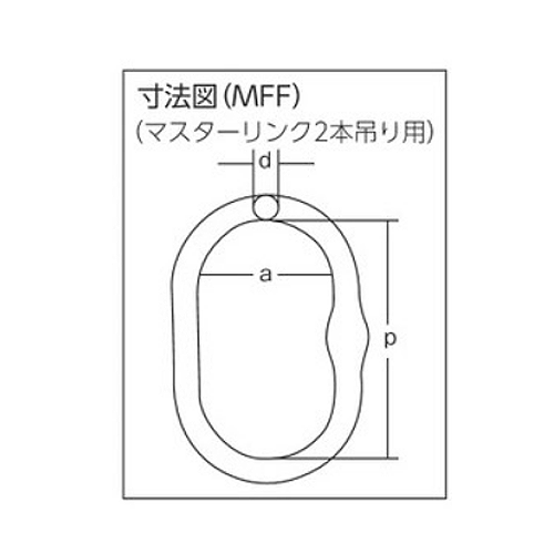 象印 チェーンスリング100（アイタイプ）シャックルタイプ