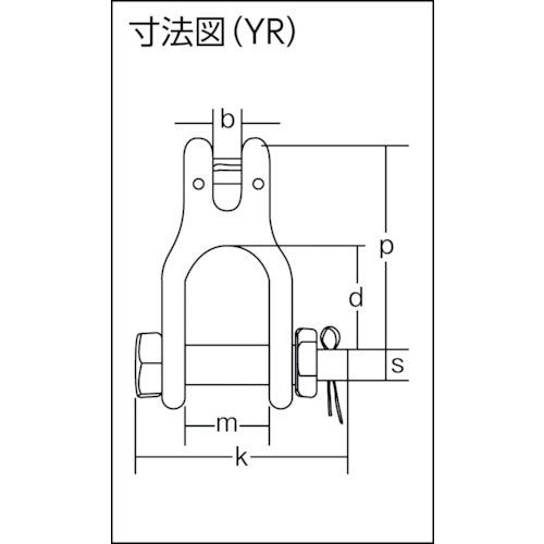 象印 チェーンスリング100（アイタイプ）シャックルタイプ